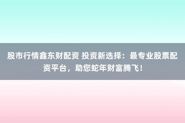 股市行情鑫东财配资 投资新选择：最专业股票配资平台，助您蛇年财富腾飞！