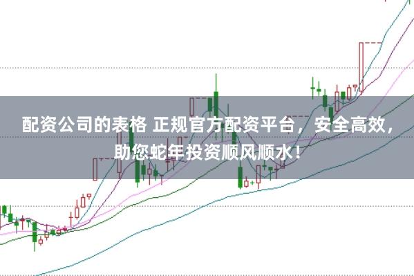 配资公司的表格 正规官方配资平台，安全高效，助您蛇年投资顺风顺水！