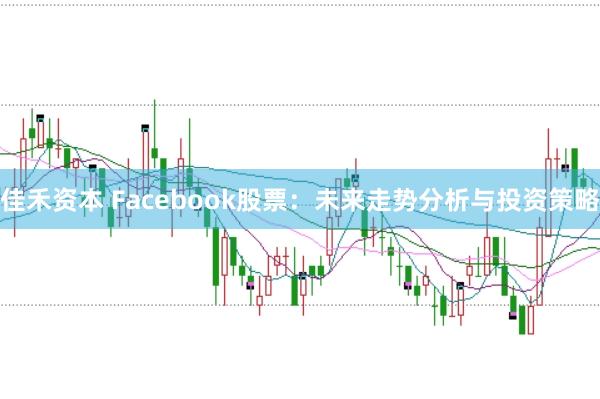 佳禾资本 Facebook股票：未来走势分析与投资策略