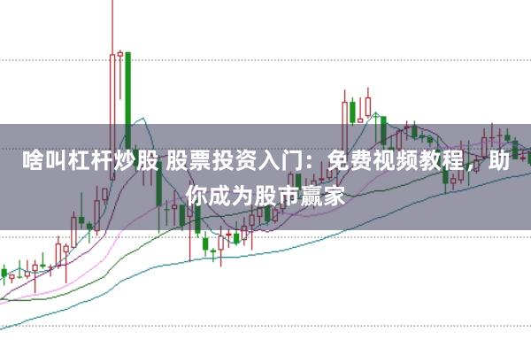 啥叫杠杆炒股 股票投资入门：免费视频教程，助你成为股市赢家