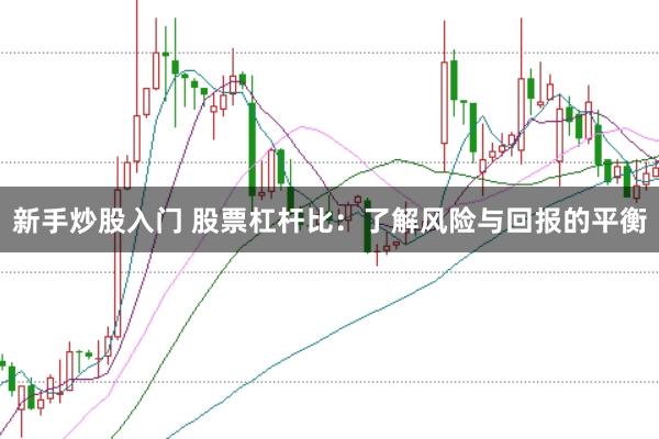 新手炒股入门 股票杠杆比：了解风险与回报的平衡
