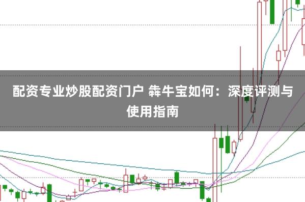 配资专业炒股配资门户 犇牛宝如何：深度评测与使用指南