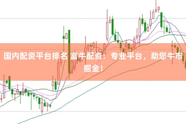 国内配资平台排名 富牛配资：专业平台，助您牛市掘金！
