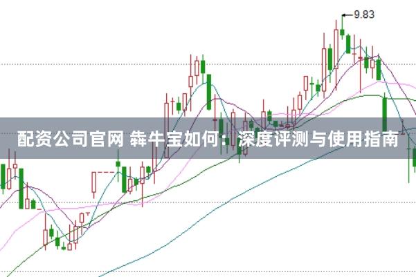 配资公司官网 犇牛宝如何：深度评测与使用指南