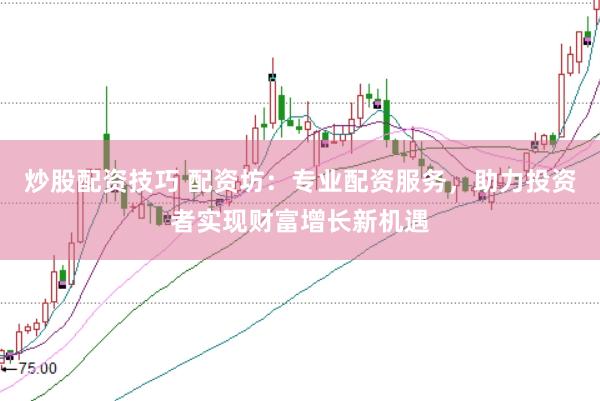 炒股配资技巧 配资坊：专业配资服务，助力投资者实现财富增长新机遇
