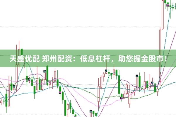 天盛优配 郑州配资：低息杠杆，助您掘金股市！