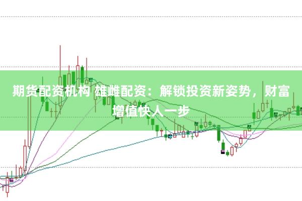 期货配资机构 雄雌配资：解锁投资新姿势，财富增值快人一步