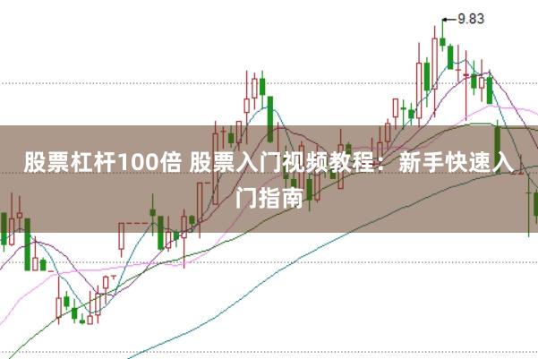 股票杠杆100倍 股票入门视频教程：新手快速入门指南
