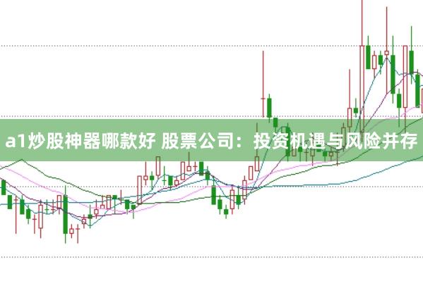 a1炒股神器哪款好 股票公司：投资机遇与风险并存