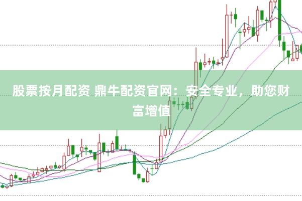 股票按月配资 鼎牛配资官网：安全专业，助您财富增值