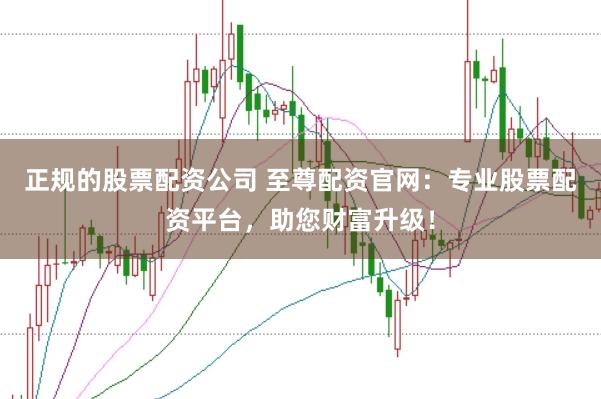 正规的股票配资公司 至尊配资官网：专业股票配资平台，助您财富升级！