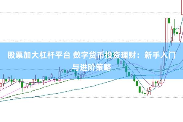 股票加大杠杆平台 数字货币投资理财：新手入门与进阶策略