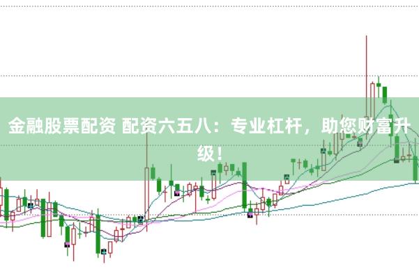 金融股票配资 配资六五八：专业杠杆，助您财富升级！