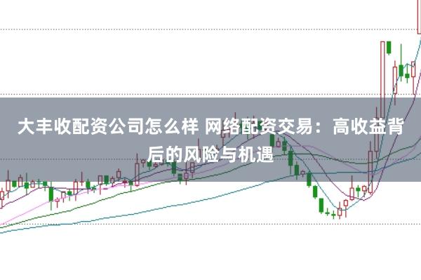 大丰收配资公司怎么样 网络配资交易：高收益背后的风险与机遇