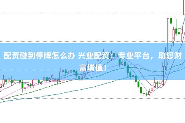 配资碰到停牌怎么办 兴业配资：专业平台，助您财富增值！