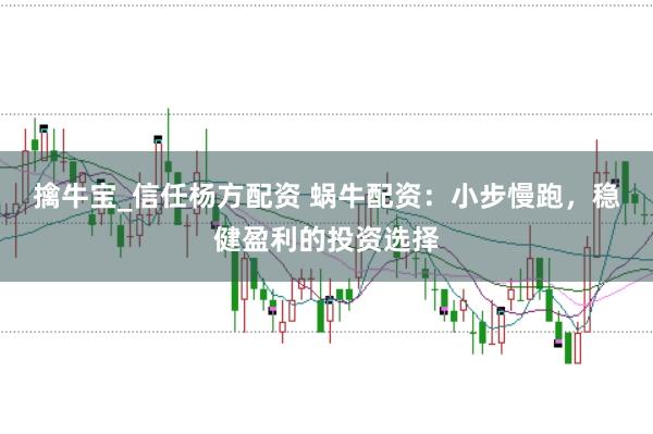 擒牛宝_信任杨方配资 蜗牛配资：小步慢跑，稳健盈利的投资选择