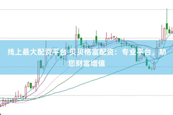 线上最大配资平台 贝贝格富配资：专业平台，助您财富增值
