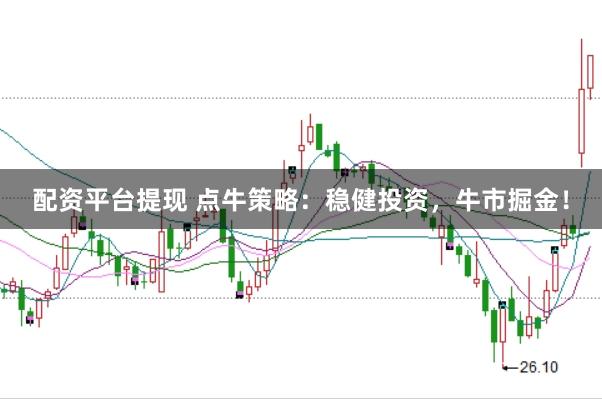 配资平台提现 点牛策略：稳健投资，牛市掘金！
