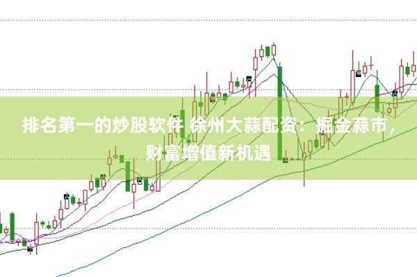排名第一的炒股软件 徐州大蒜配资：掘金蒜市，财富增值新机遇