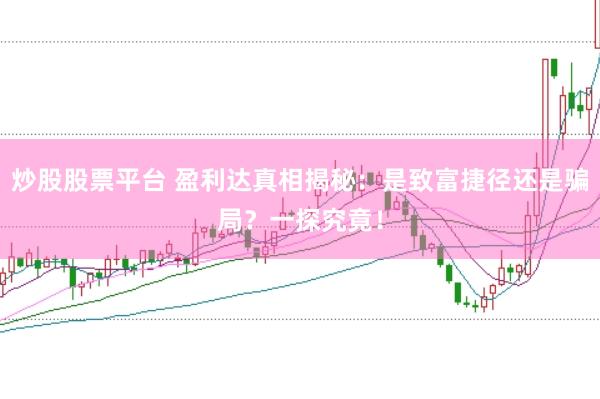 炒股股票平台 盈利达真相揭秘：是致富捷径还是骗局？一探究竟！