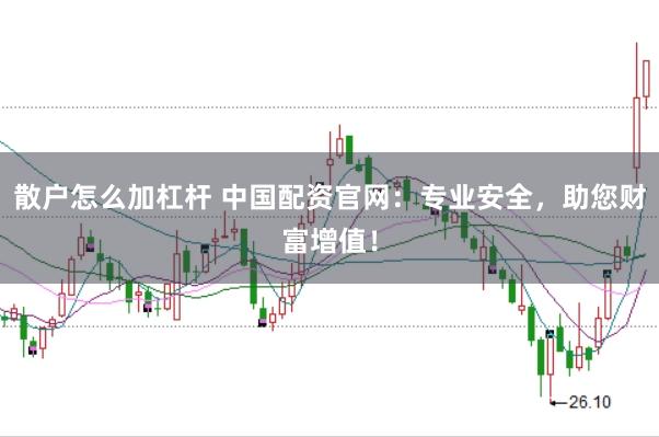散户怎么加杠杆 中国配资官网:专业安全,助您财富增值!