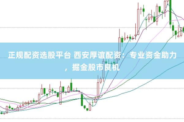 正规配资选股平台 西安厚谊配资：专业资金助力，掘金股市良机