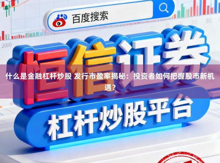 什么是金融杠杆炒股 发行市盈率揭秘:投资者如何把握股市新机遇?